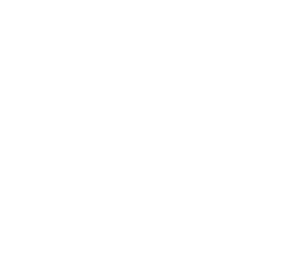 Fondazione ballarini